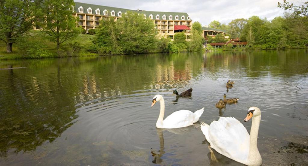 The Chateau Resort Tannersville Exterior photo